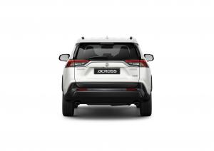 Suzuki Across 2020 года  (WW)